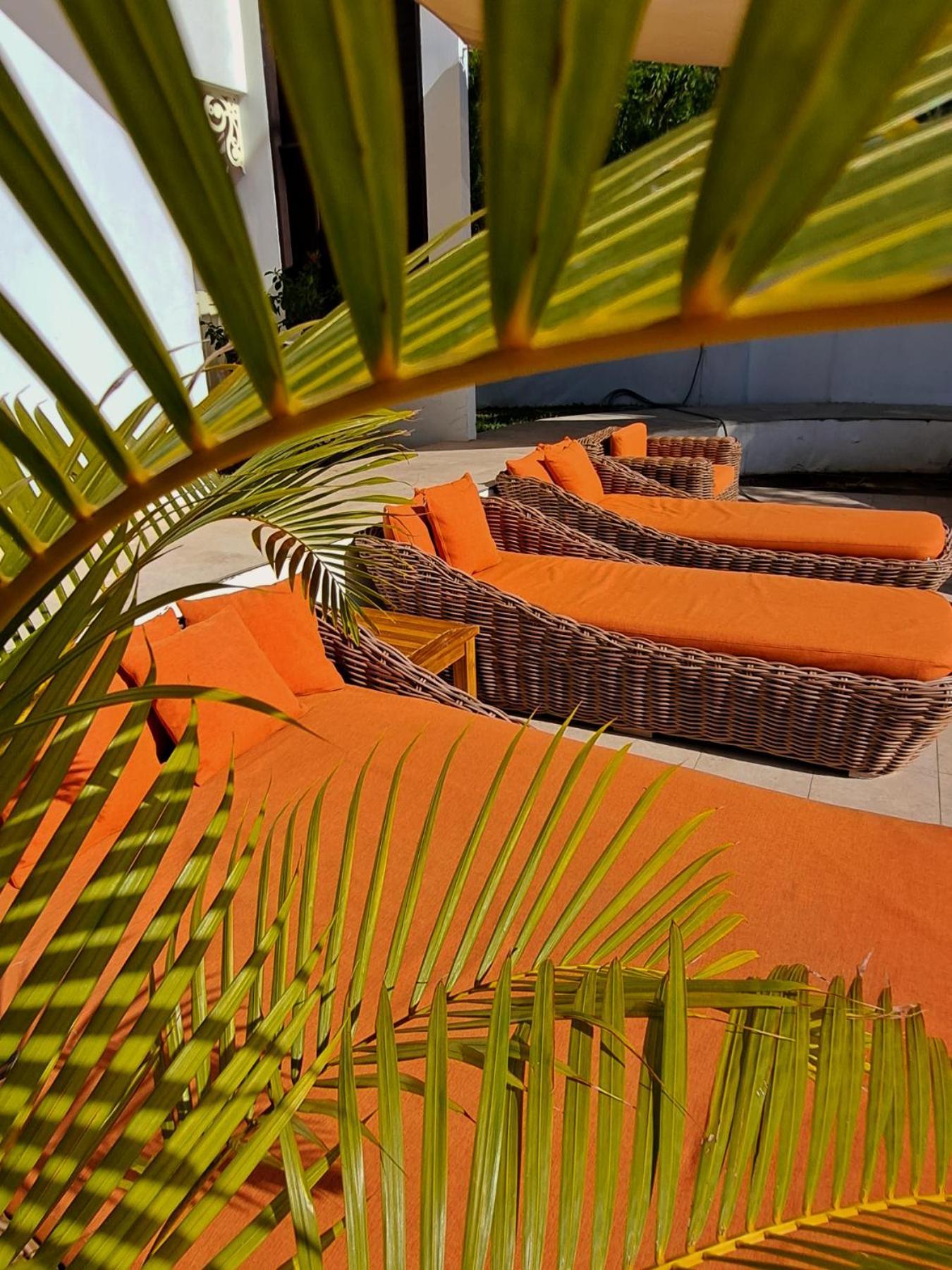 Le Nautile Beachfront Saint-Gilles-les Bains Exteriér fotografie