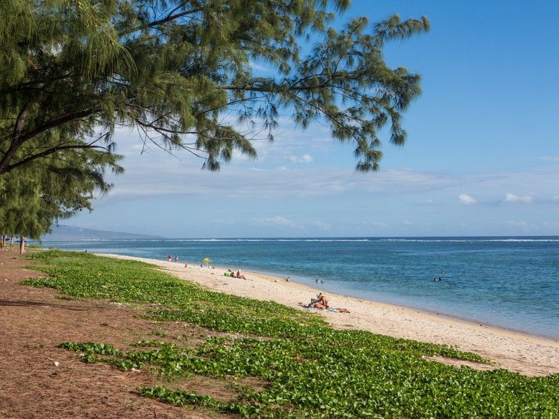 Le Nautile Beachfront Saint-Gilles-les Bains Exteriér fotografie