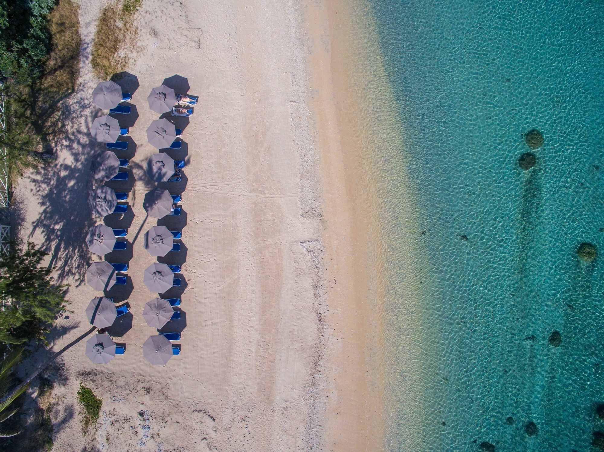 Le Nautile Beachfront Saint-Gilles-les Bains Exteriér fotografie